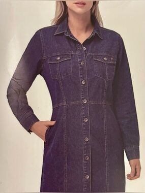 New! Frye Dark Wash Denim Dress